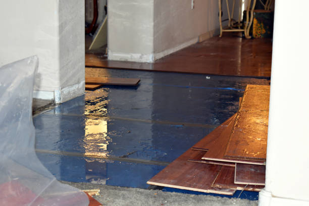 Professional Basement Flooding technician working in Hampton, IL